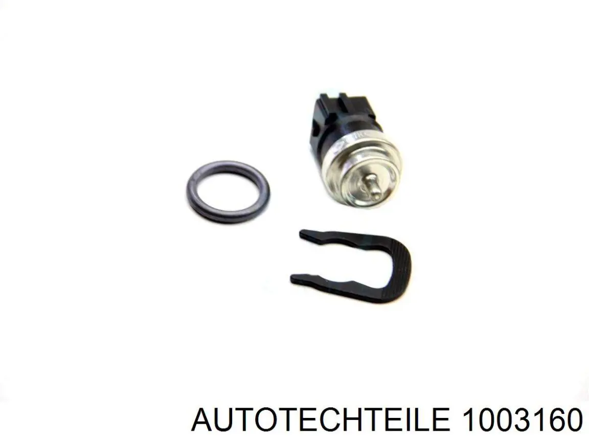 Купити 1003160 Autotechteile Палець сережки задньої ресори