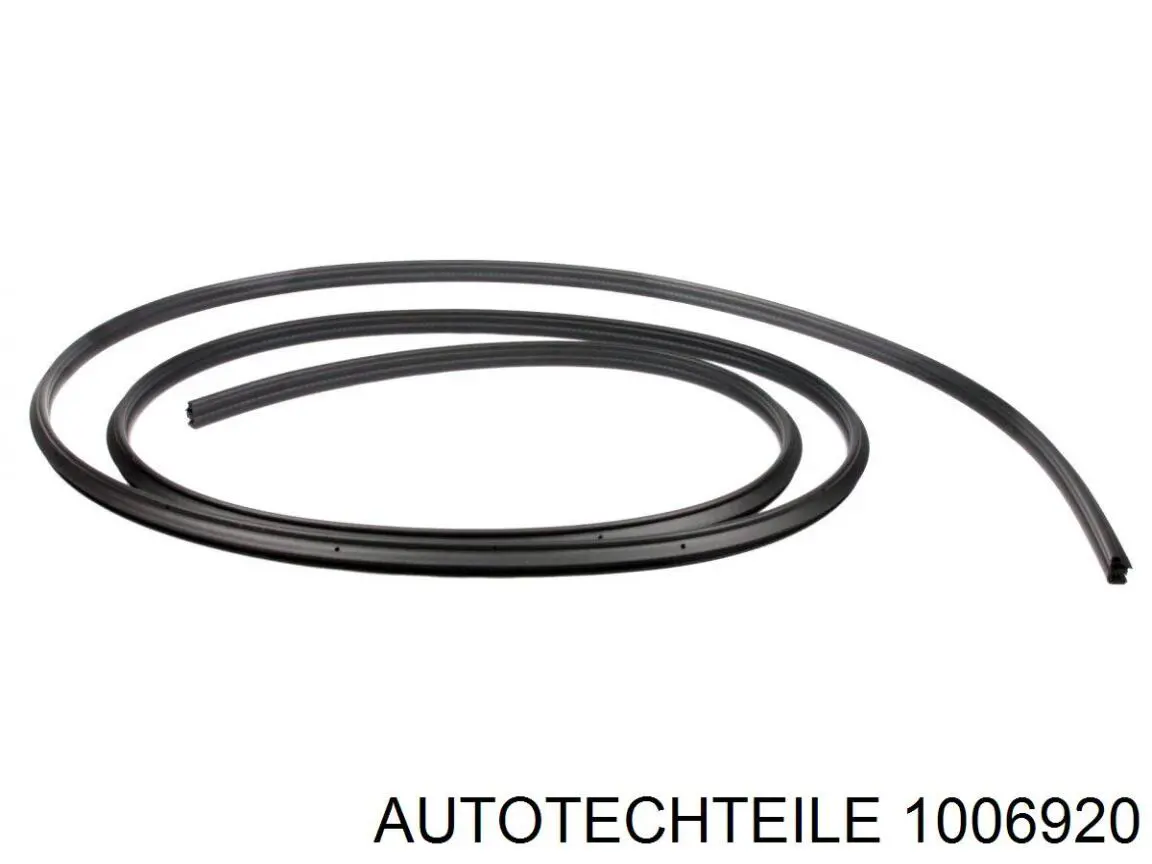 Купити 1006920 Autotechteile Ущільнювач двері задньої (на кузові)