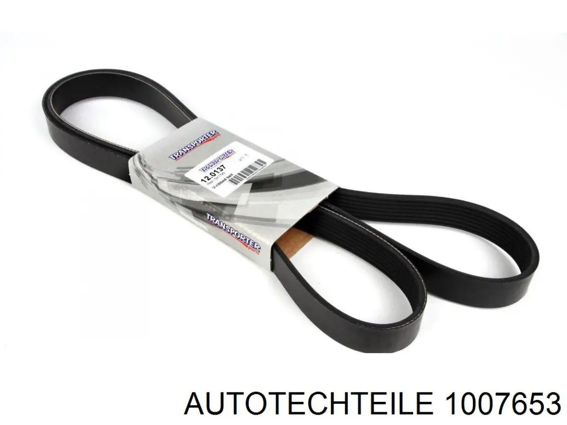 Купити 1007653 Autotechteile Ролик двері бічної/зсувної, правий нижній