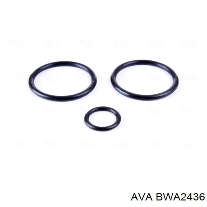 Купити BWA2436 AVA Радіатор двигуна