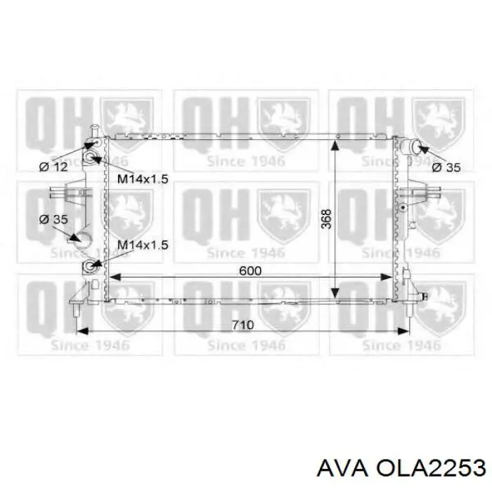 OLA2253 AVA Радіатор охолодження двигуна