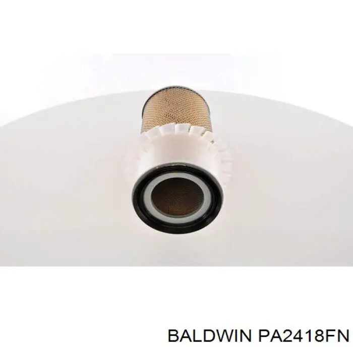 PA2418FN Baldwin Повітряний фільтр двигуна
