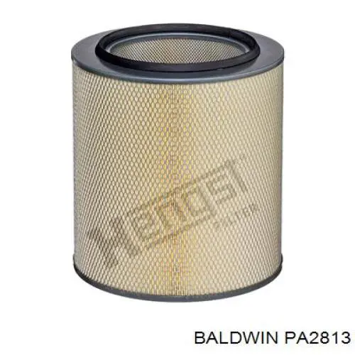 Купити PA2813 Baldwin Автомобільний фільтр повітря