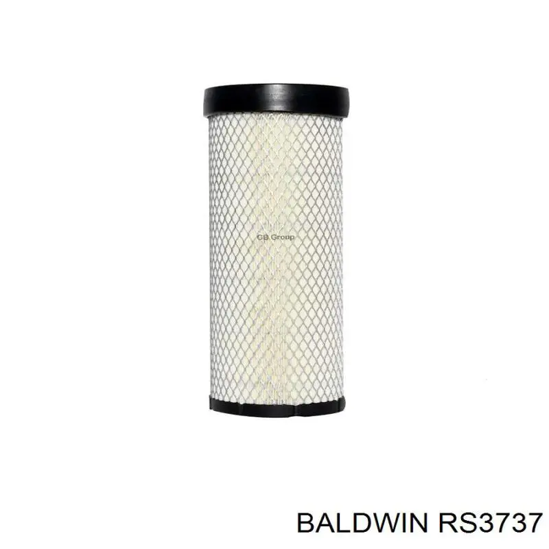 RS3737 Baldwin Повітряний фільтр двигуна