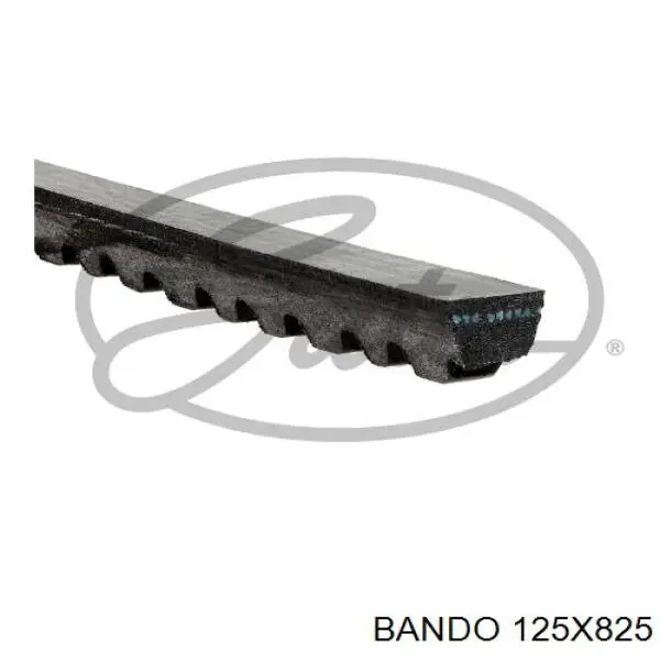 125X825 Bando Поліклиновий ремінь