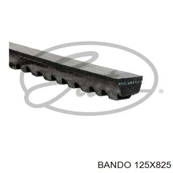 Клиновий ремінь Bando 125X825 ціна, від 4.61 USD