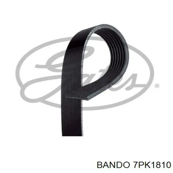 Клиновий ремінь Bando 7PK1810 ціна, від 25.47 USD