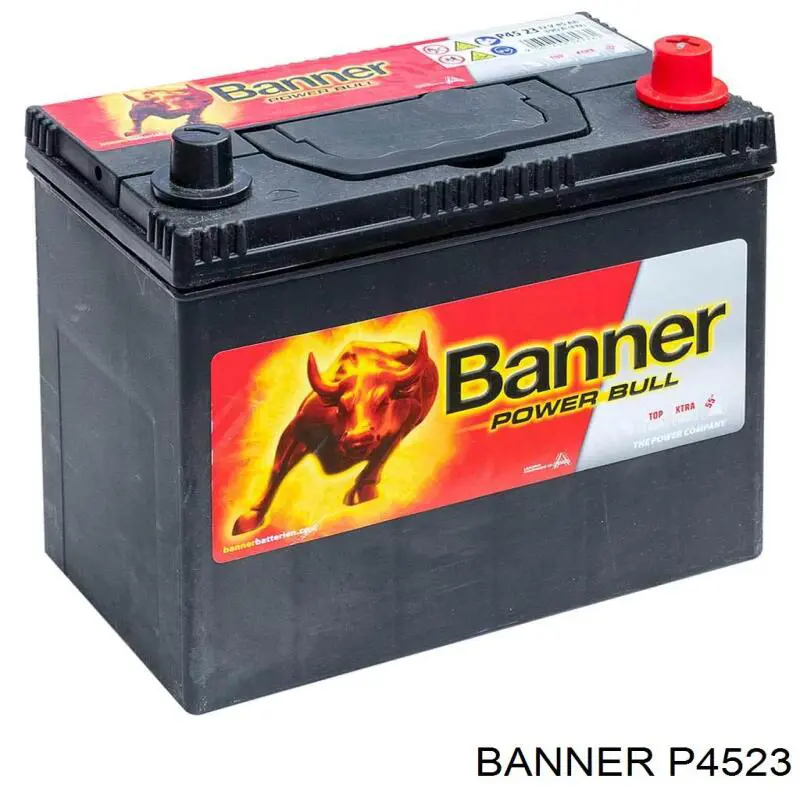 Батарея акумуляторна Banner P4523 ціна, від 104.58 USD
