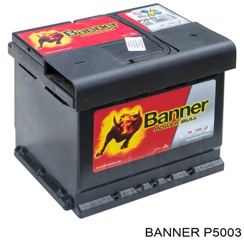 Батарея акумуляторна Banner P5003 ціна, від 104.71 USD