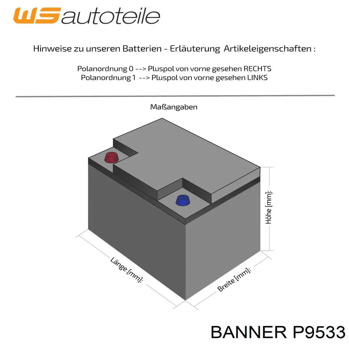 Купити P9533 Banner Автомобільна батарея