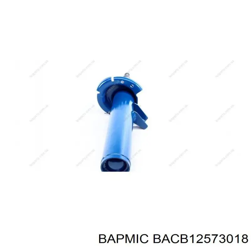 Амортизатор передній, лівий BACB12573018 Bapmic