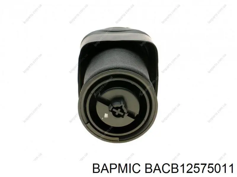 Пневморессора задня Bapmic BACB12575011 ціна, від 71.71 USD