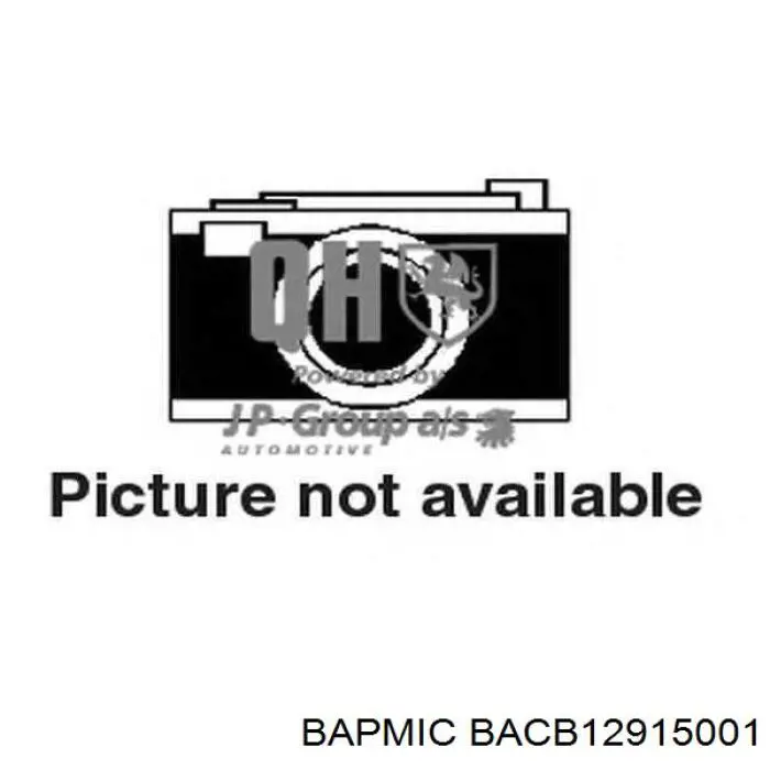 BACB12915001 Bapmic масловіддільник
