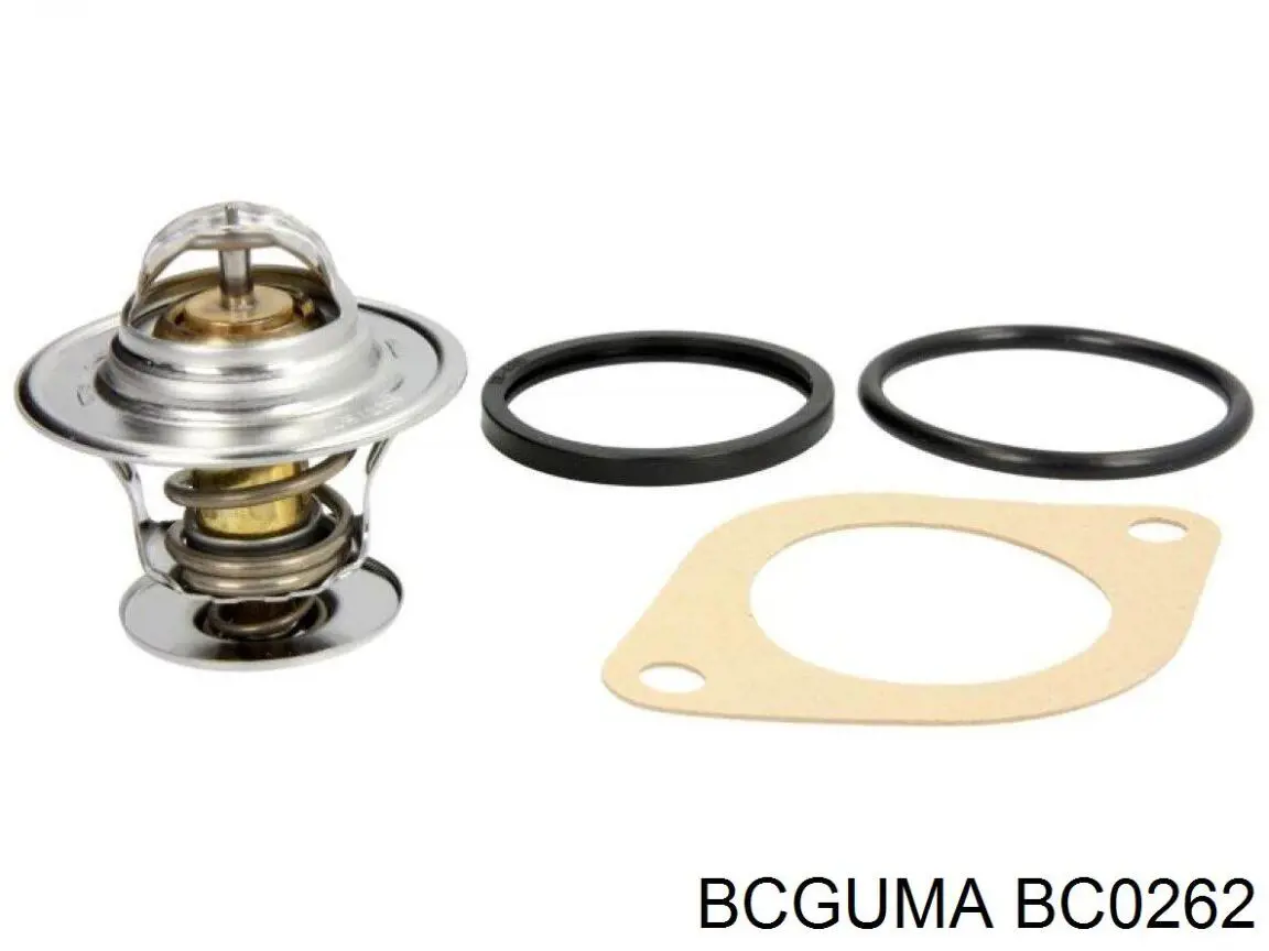 Купити BC0262 Bcguma Задні втулки амортізатора