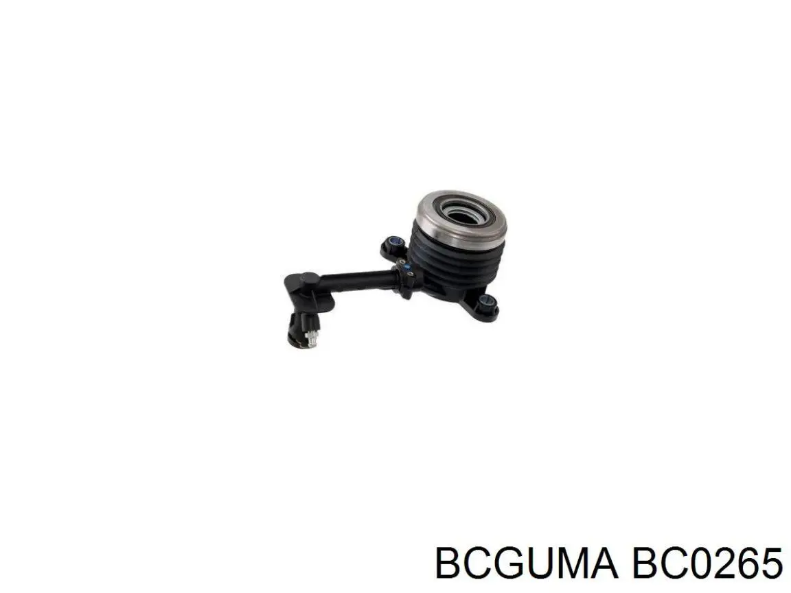 Купити BC0265 Bcguma Задні втулки амортізатора