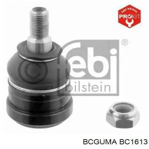 Купити BC1613 Bcguma Сайлентблок заднього поздовжнього важеля, задній