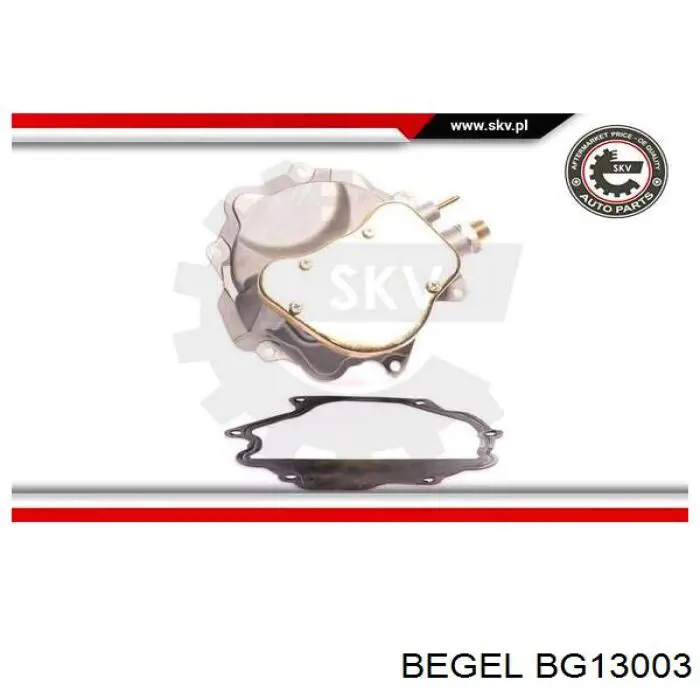 Купити BG13003 Begel Вакуумний насос