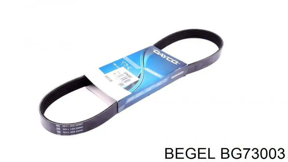 Купити BG73003 Begel Ролик двері бічної/зсувної, правий верхній
