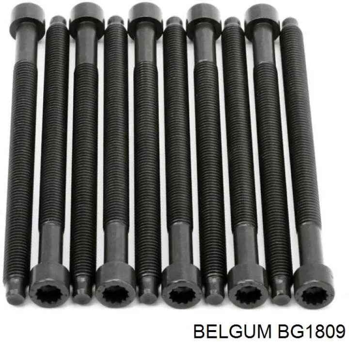 Подушка (опора) двигуна передня (сайлентблок) Belgum BG1809 ціна, від 12.89 USD
