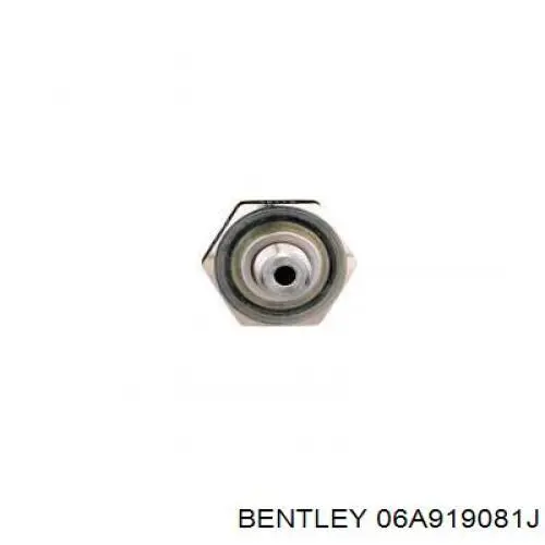 Манометри (показник тиску масла) Bentley 06A919081J ціна, від 3.94 USD