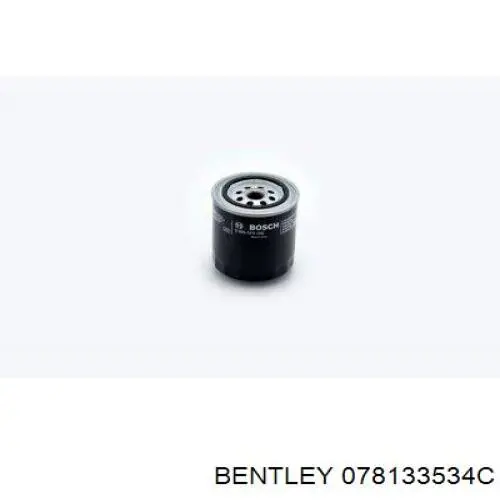 Регулятор тиску палива 078133534C Bentley