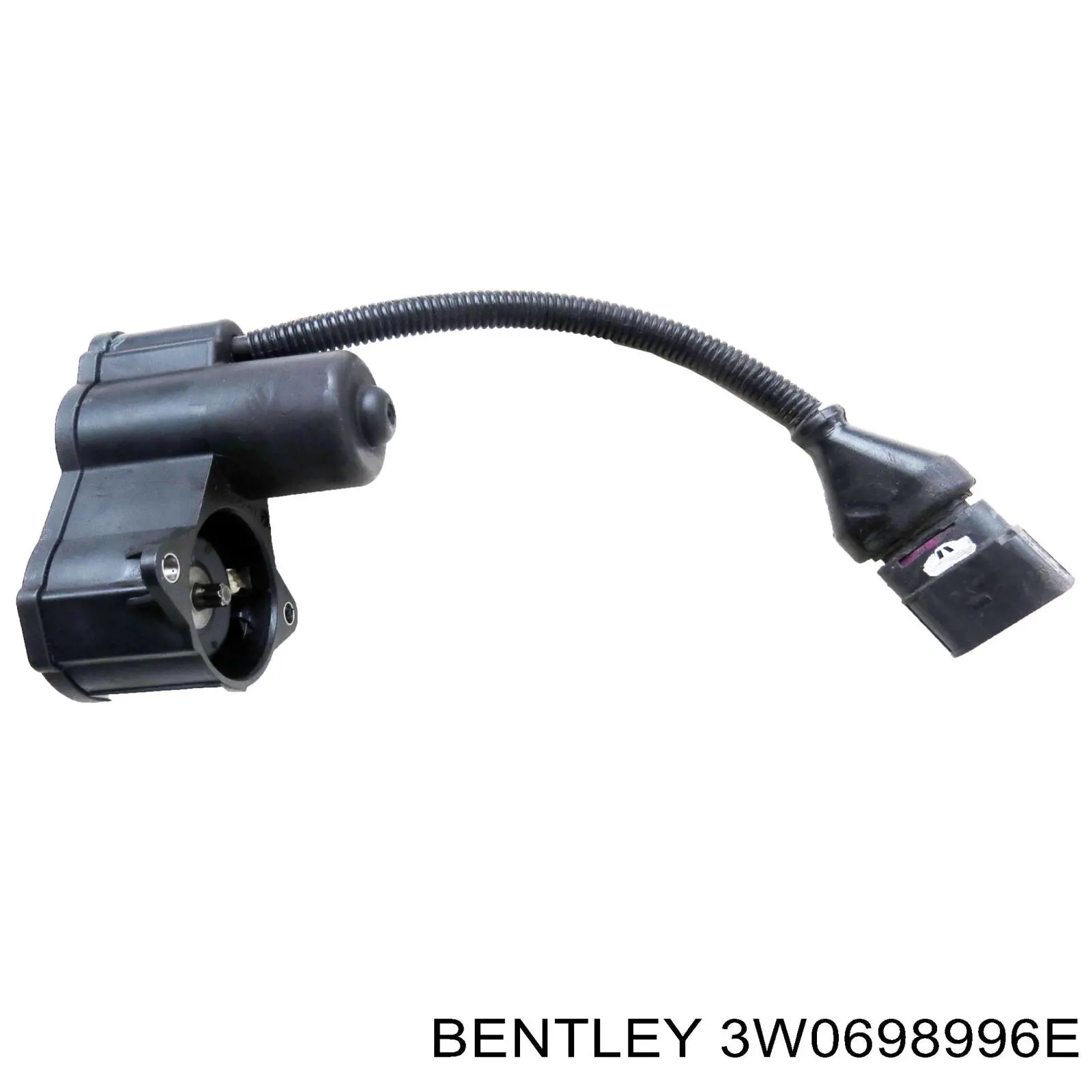 3W0698996E Bentley