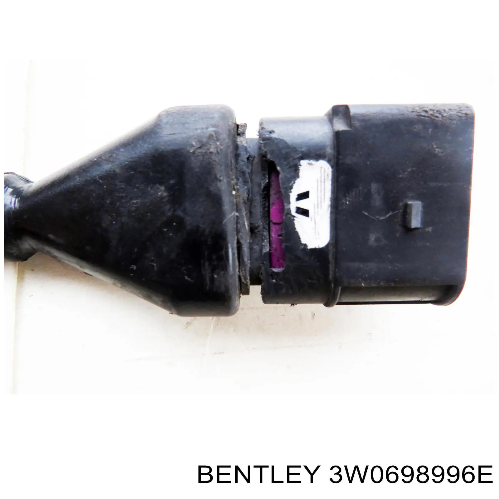 3W0698996E Bentley 