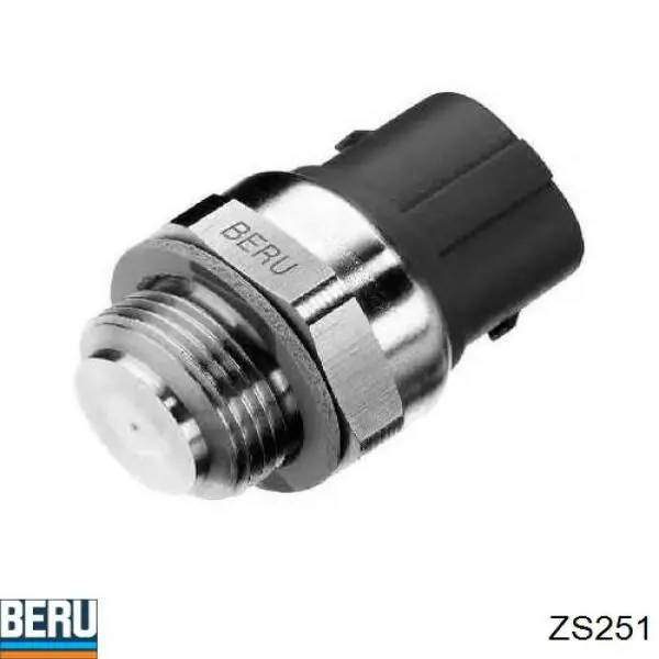 Купити ZS251 Beru Котушка запалювання