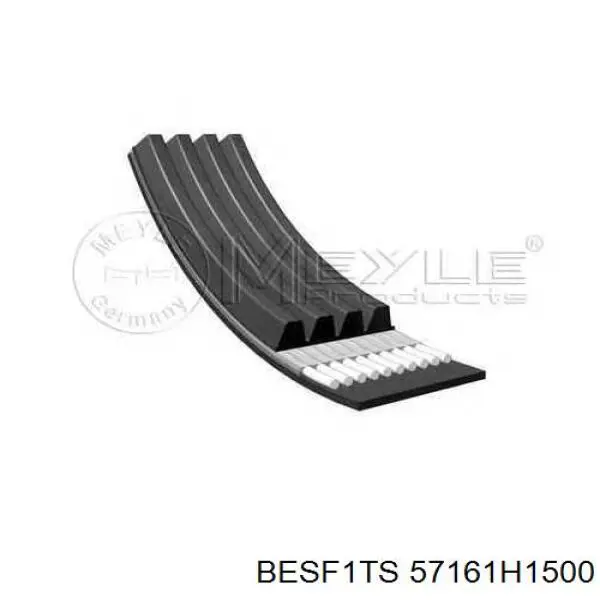 Ремінь приводний, агрегатів 57161H1500 Besf1ts