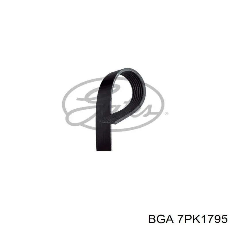 Ремінь генератора 7PK1795 BGA