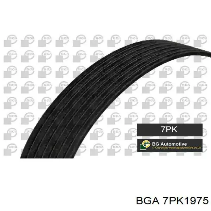 Купити 7PK1975 BGA Ремінь генератора