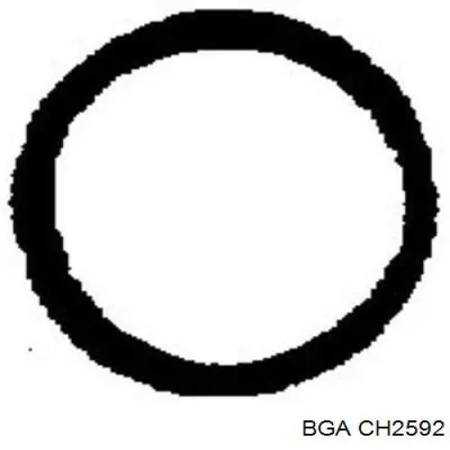 Прокладка головки блока циліндрів (ГБЦ), ліва BGA CH2592 ціна, від 45.05 USD