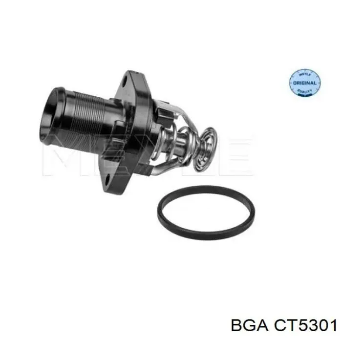 Купити CT5301 BGA Термостат в корпусі