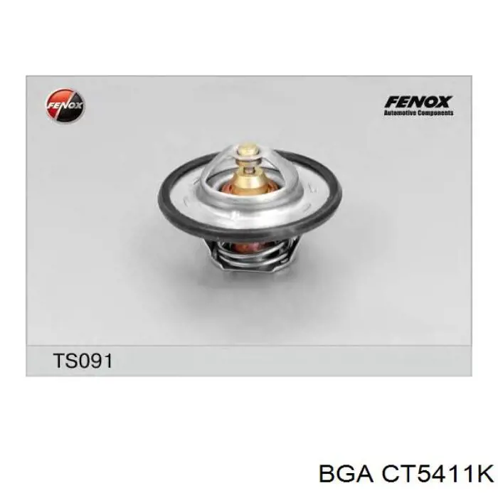 Купити CT5411K BGA Термостат в корпусі