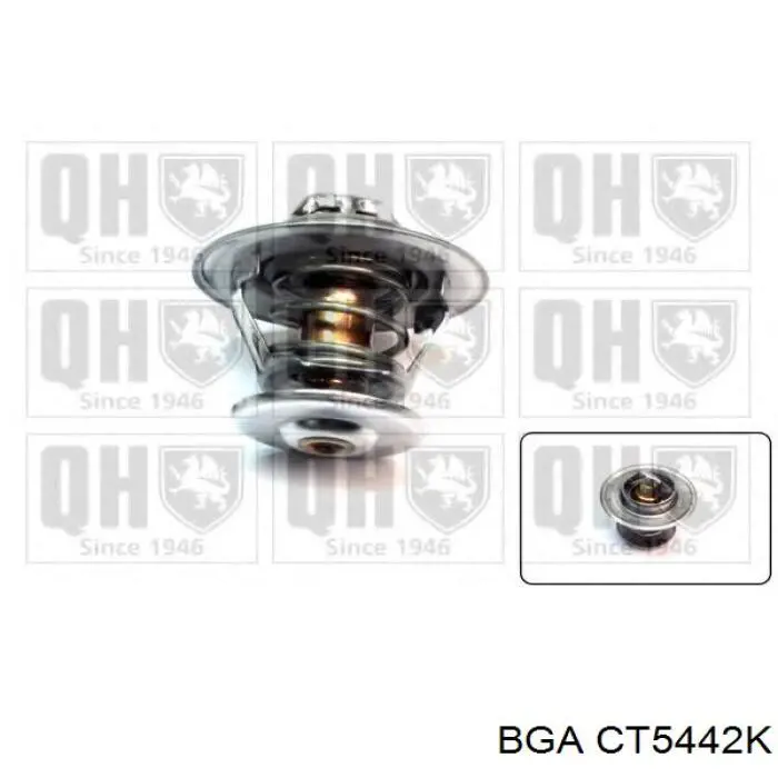Купити CT5442K BGA Термостат в корпусі