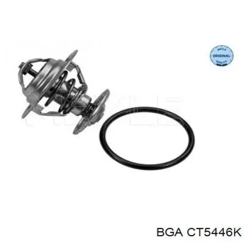 Купити CT5446K BGA Термостат в корпусі