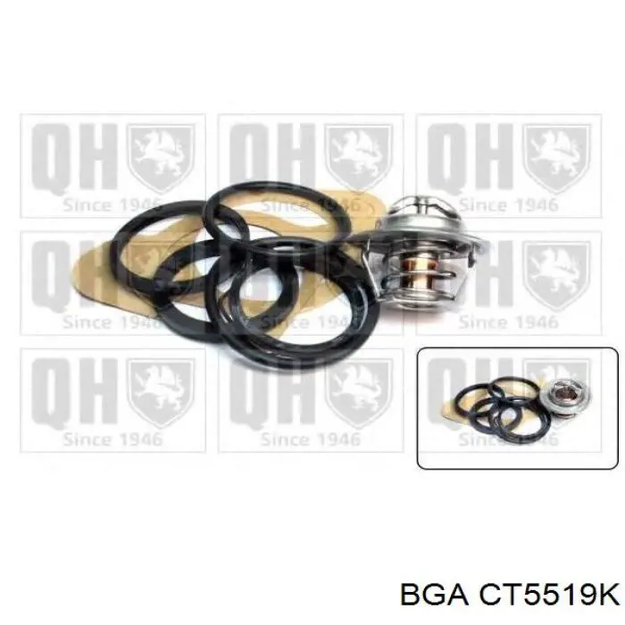 Термостат CT5519K BGA