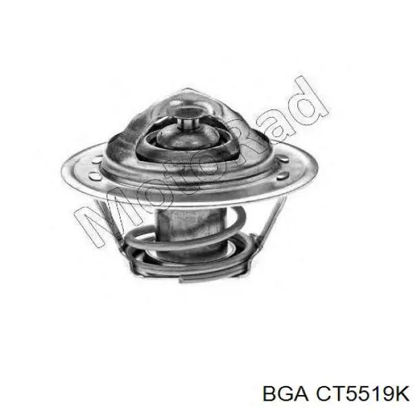 Купити CT5519K BGA Термостат в корпусі