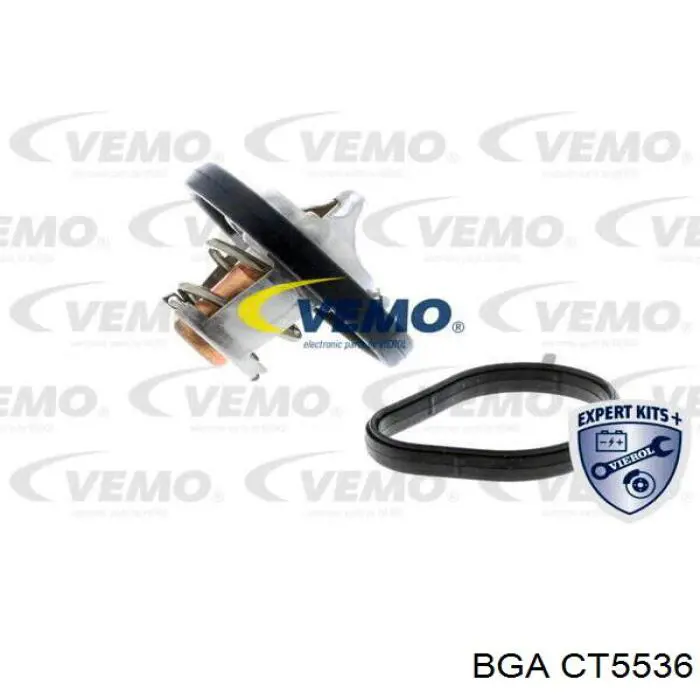 Купити CT5536 BGA Термостат в корпусі
