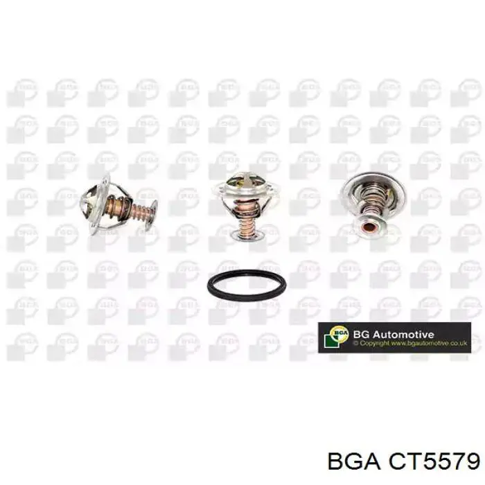 Купити CT5579 BGA Термостат в корпусі