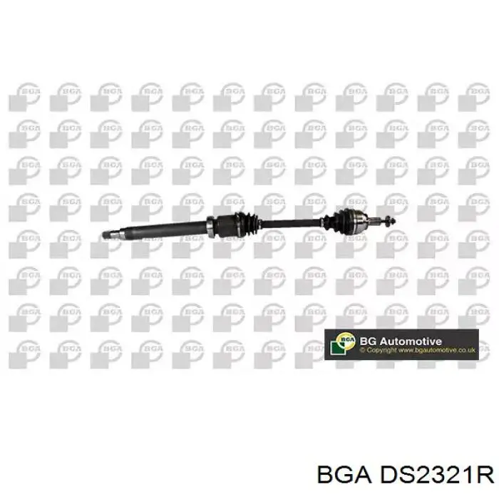 Купити DS2321R BGA Піввісь права