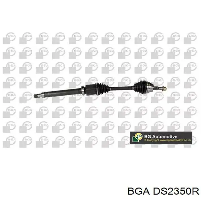 Купити DS2350R BGA Піввісь права