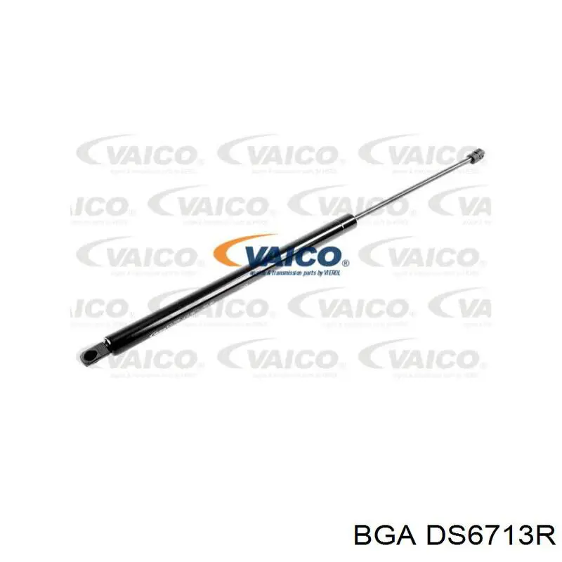 Купити DS6713R BGA Ліва піввісь