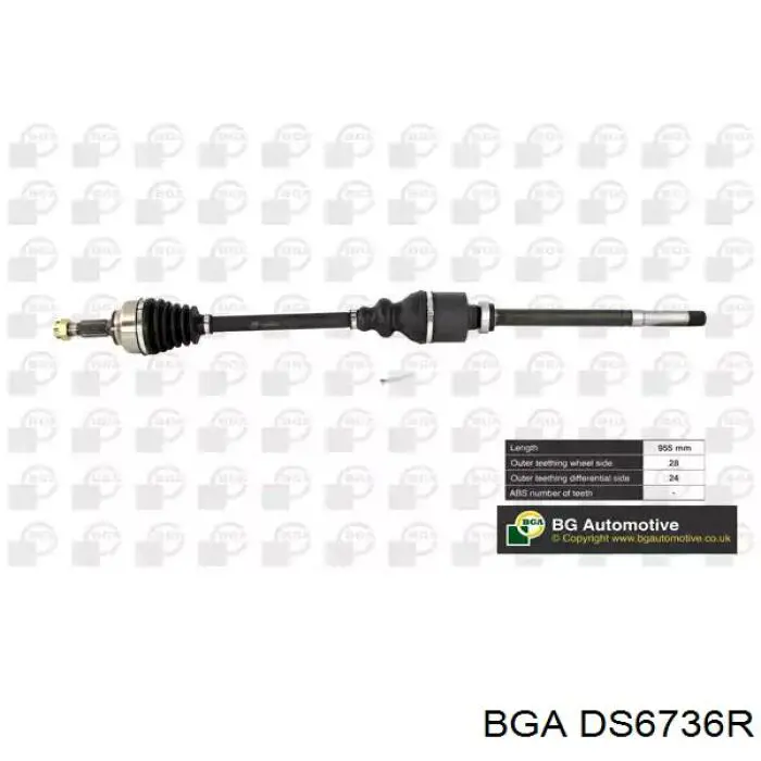 Купити DS6736R BGA Піввісь права