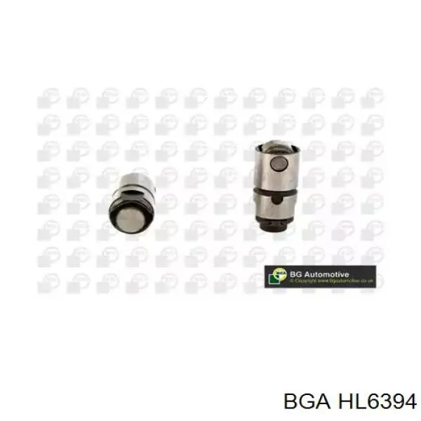 HL6394 BGA Гідрокомпенсатор