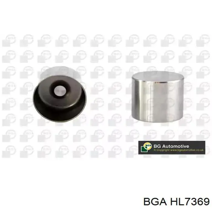 HL7369 BGA Гідрокомпенсатор