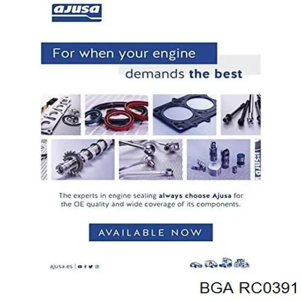 RC0391 BGA прокладка клапанної кришки, права