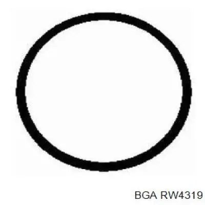 RW4319 BGA Прокладка впускного колектора