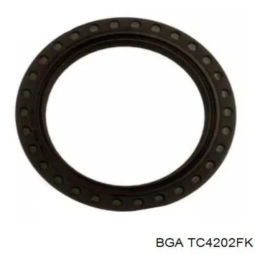  BGA TC4202FK ціна, від 362.62 USD