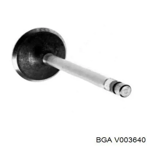 V003640 BGA клапан випускний